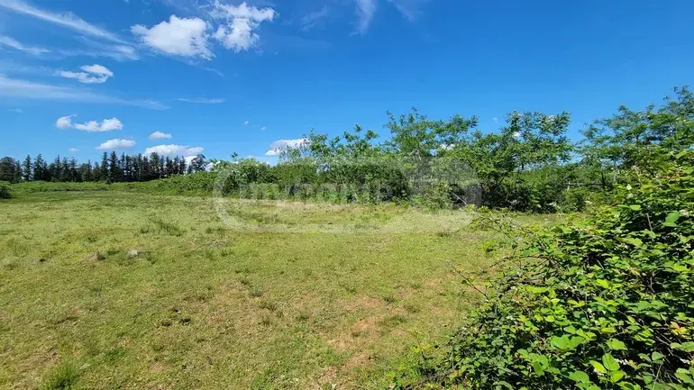 Agricultural Plot For Sale In Ozurgeti view 4