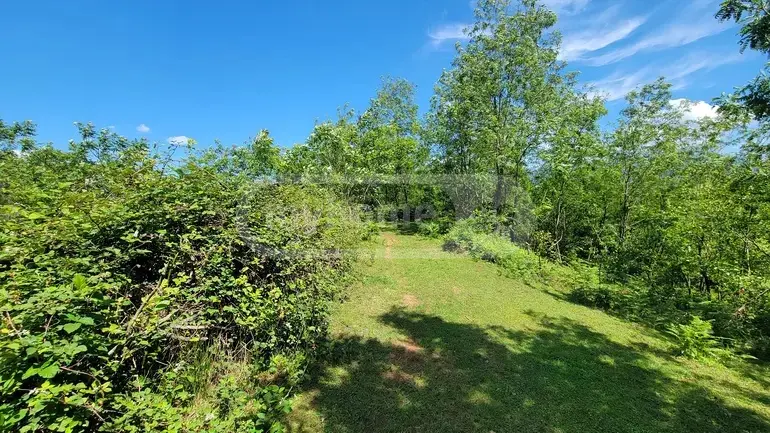Agricultural Plot For Sale In Ozurgeti view 7