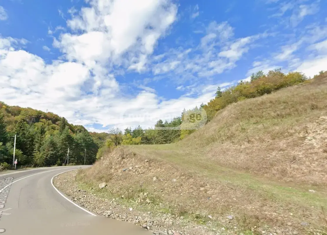 Agricultural Plot For Sale In Tsagveri, In Borjomi Municipality view 1