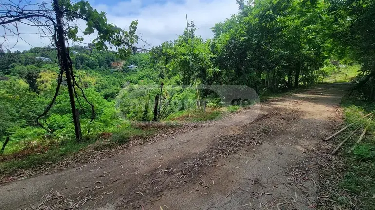 Agricultural Plot For Sale In Tsikhisdziri, In Kobuleti Municipality view 7