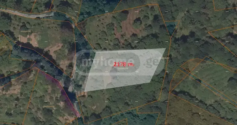 Agricultural Plot For Sale In Tsikhisdziri, In Kobuleti Municipality view 8