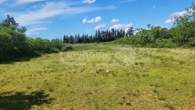 Agricultural Plot For Sale In Ozurgeti view 6
