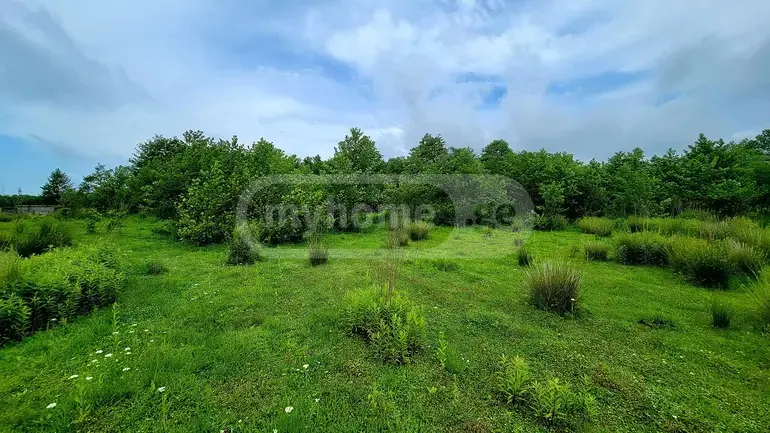 Agricultural Plot For Sale In Ozurgeti view 1