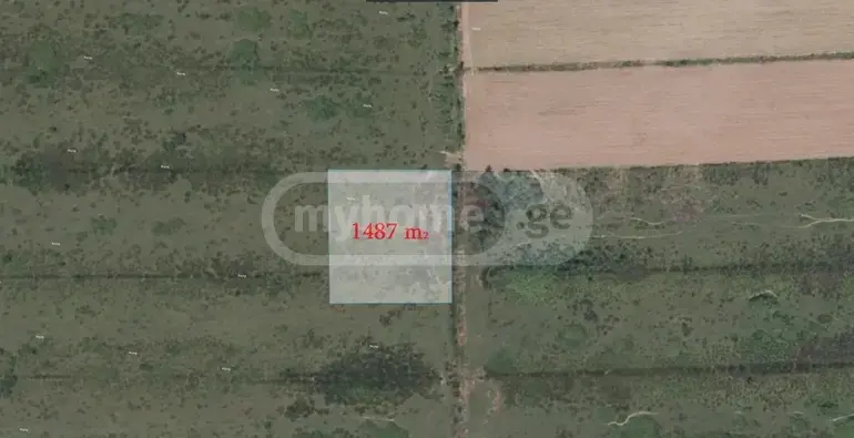 Agricultural Plot For Sale In Ozurgeti view 5