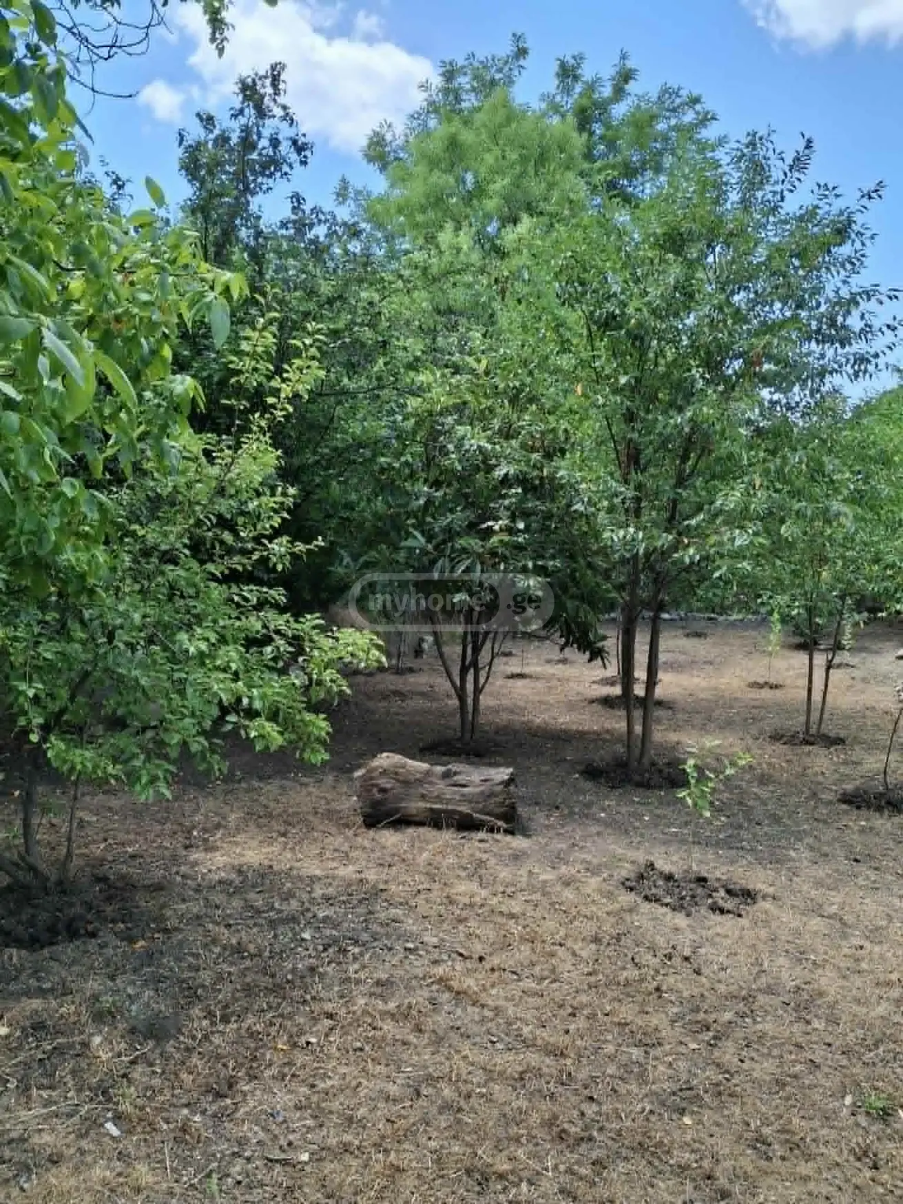 იყიდება 10+ Room Private House In Patara Chailuri, In Sagarejo Municipalityში view 3
