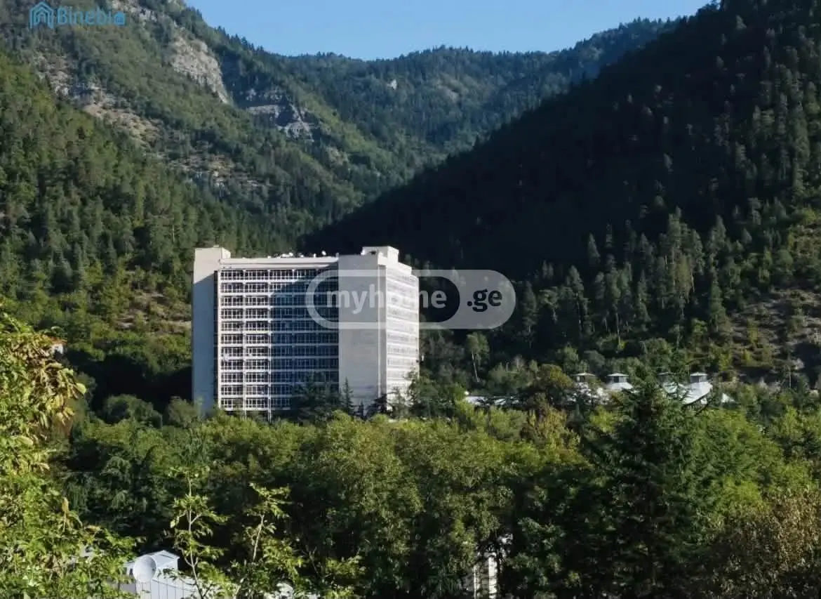 1 Room Apartment For Rent In Borjomi view 6