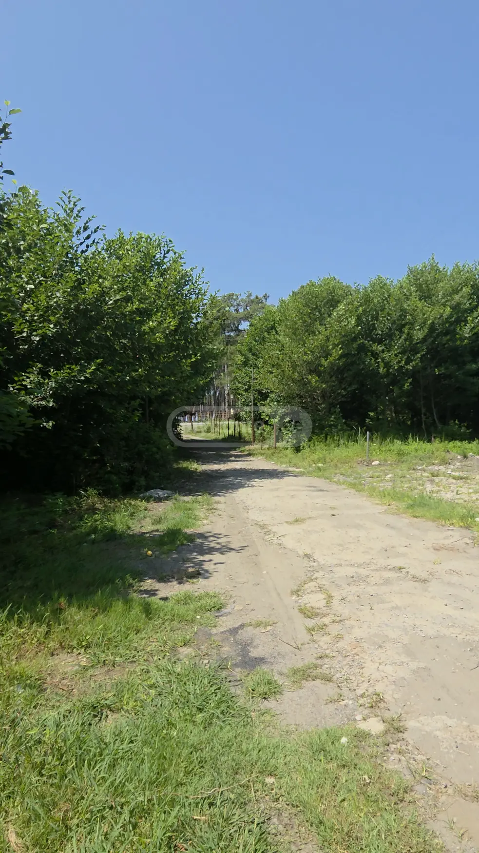 Agricultural Plot For Sale In Grigoleti, In Lanchkhuti Municipality view 1