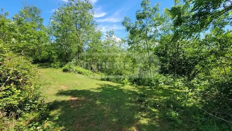 Agricultural Plot For Sale In Ozurgeti view 5