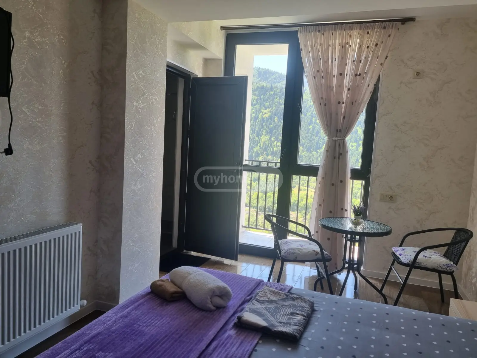 2 Room Apartment Daily Rent In Borjomi view 5