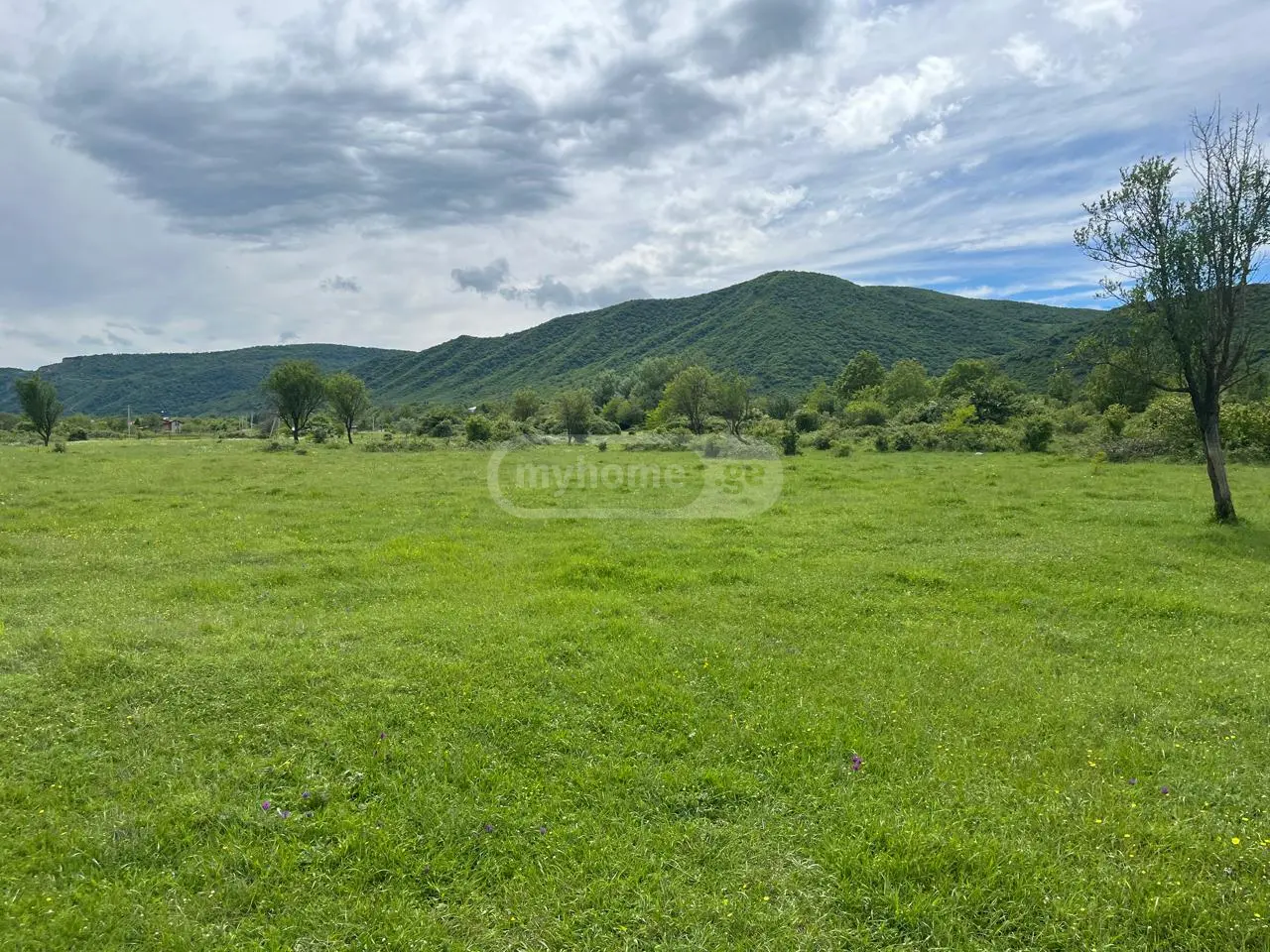 Agricultural Plot For Sale In Aragvispiri, In Dusheti Municipality view 4