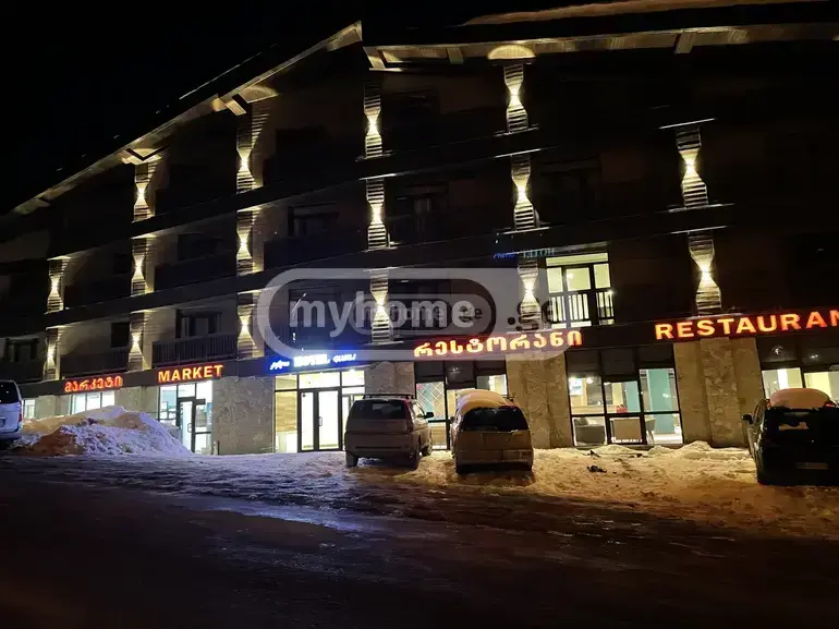 Universal Commercial Area For Rent In Gudauri view 8