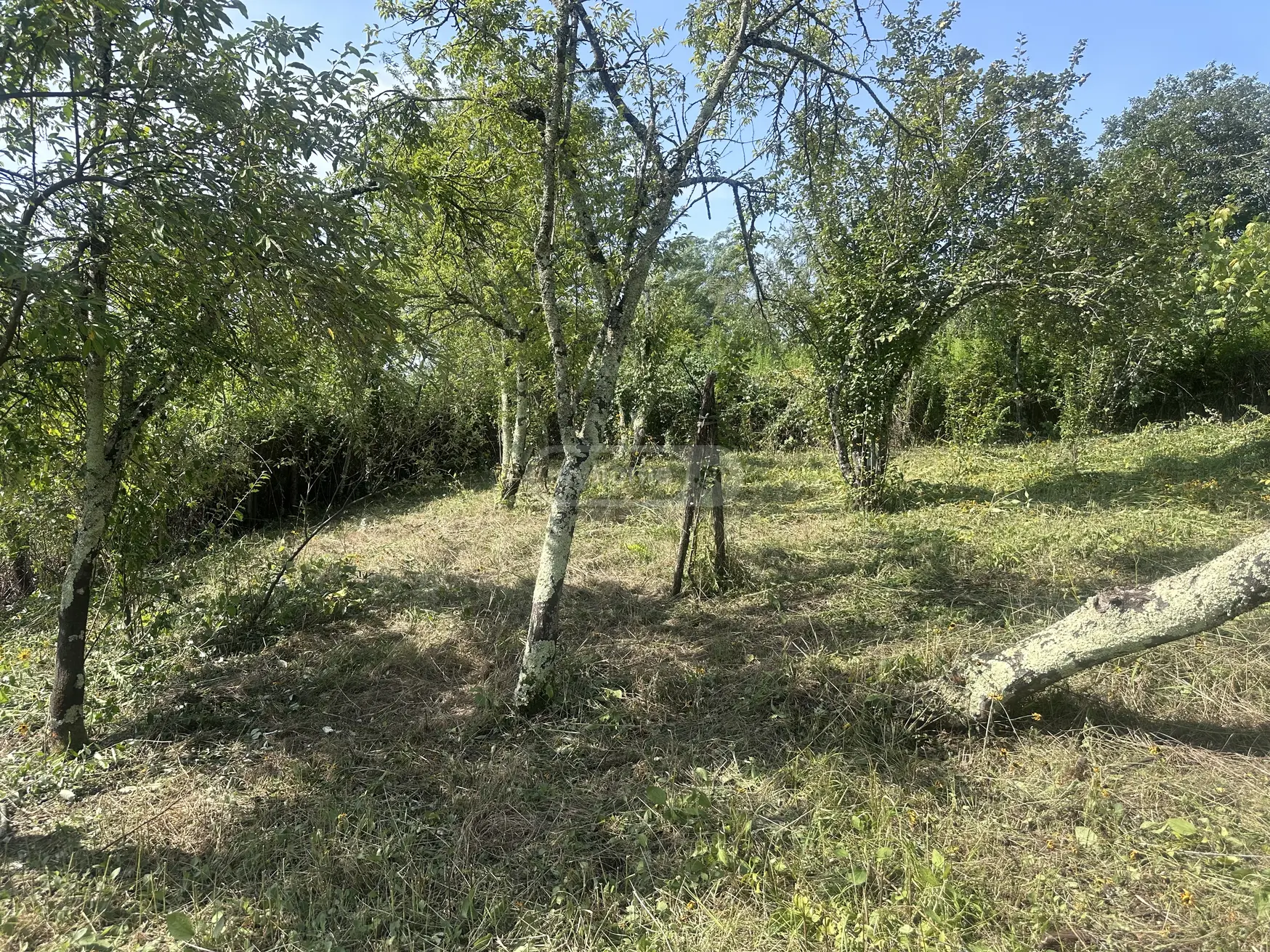 Non-Agricultural Plot For Sale In Tskaltubo view 4
