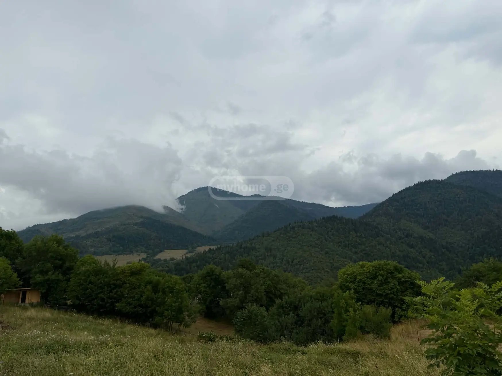 Agricultural Plot For Sale In Mzetamze, In Borjomi Municipality view 1