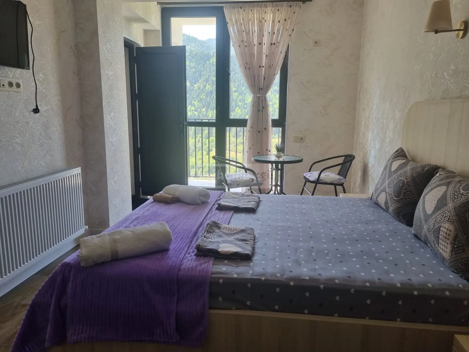 2 Room Apartment Daily Rent In Borjomi view 6