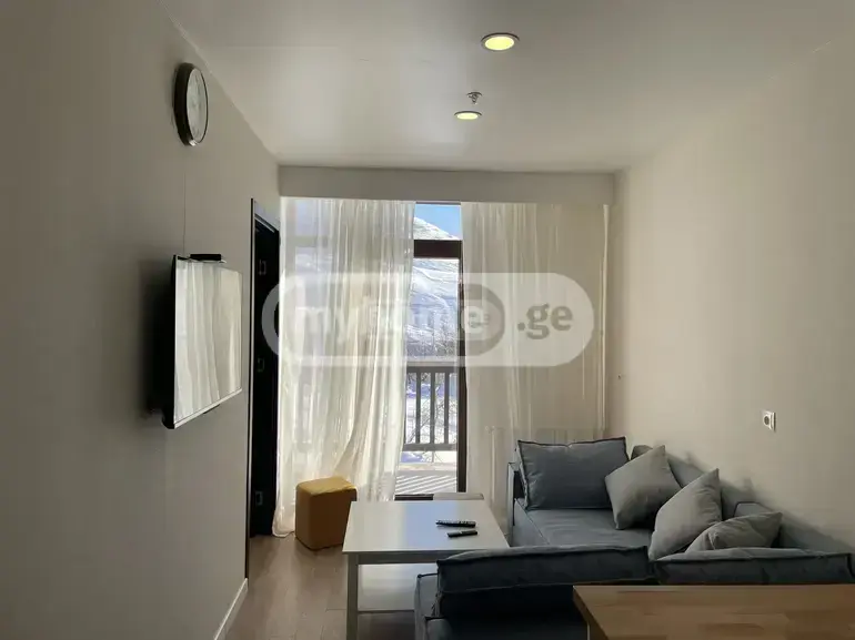 Universal Commercial Area For Rent In Gudauri view 2