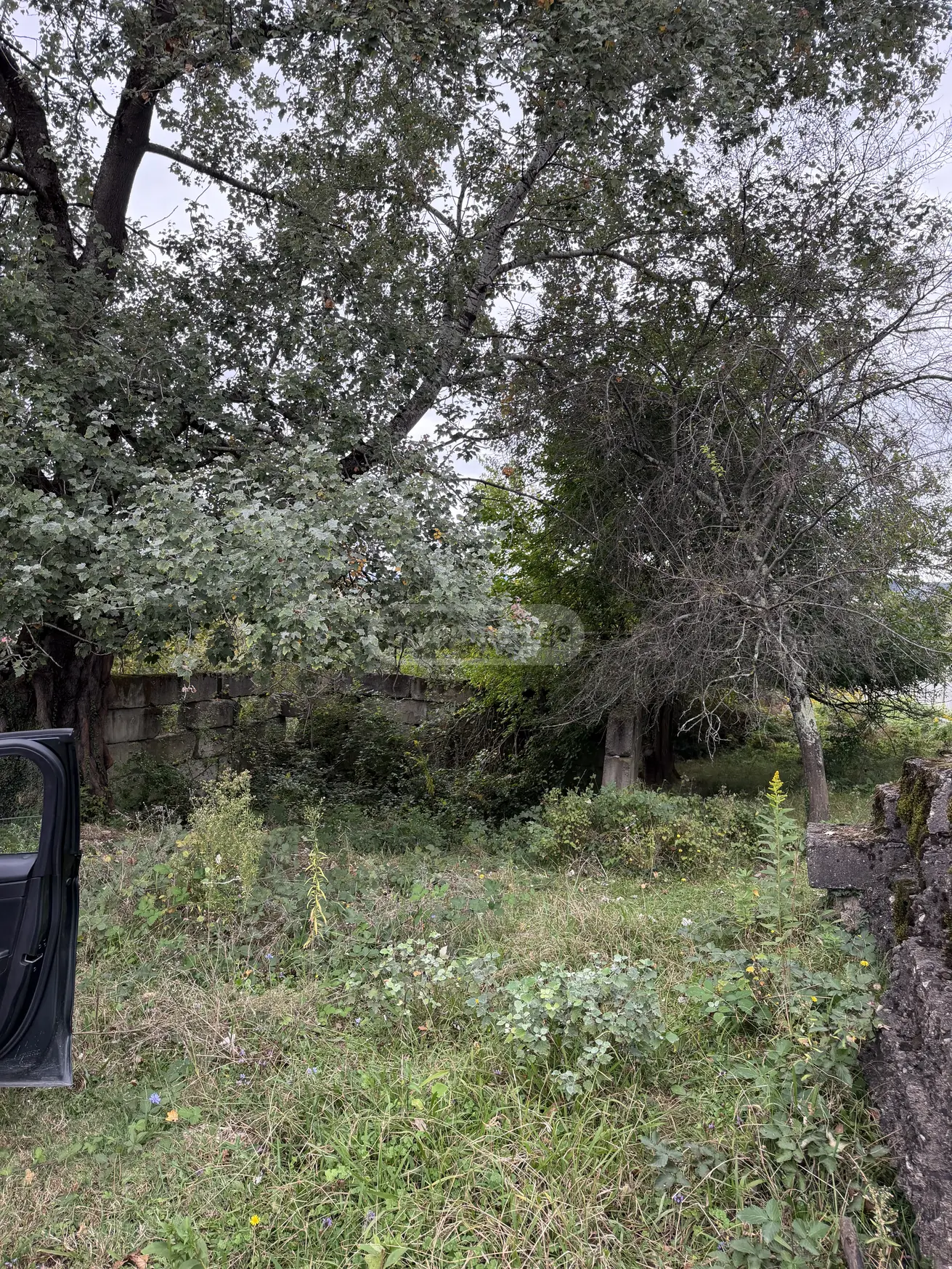 იყიდება Agricultural Plot In Banoja, In Tskaltubo Municipalityში view 2