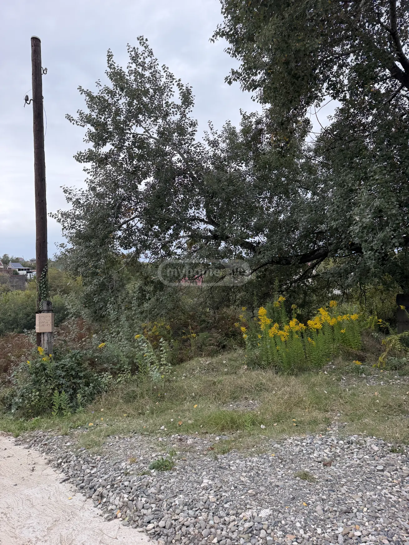 იყიდება Agricultural Plot In Banoja, In Tskaltubo Municipalityში view 3