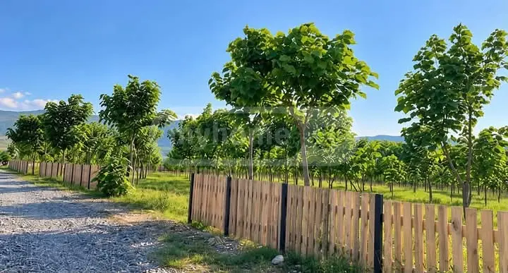 Agricultural Plot For Sale In Kavtiskhevi, In Kaspi Municipality view 5
