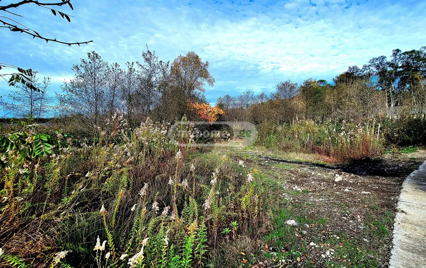 Agricultural Plot For Sale In Ozurgeti view 3