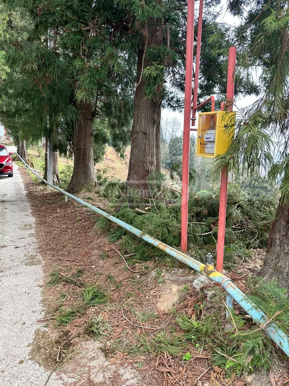 Non-Agricultural Plot For Sale In Makhinjauri, In Batumi view 6