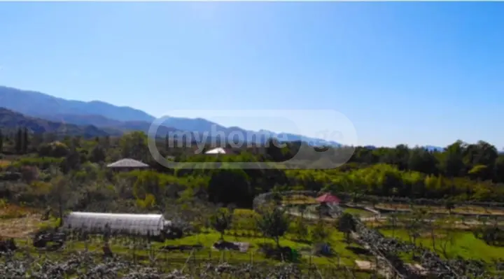 იყიდება Investment / For Construction Plot In Ozurgetiში view 6