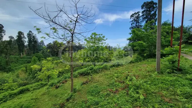 Agricultural Plot For Sale In Tsikhisdziri, In Kobuleti Municipality view 5