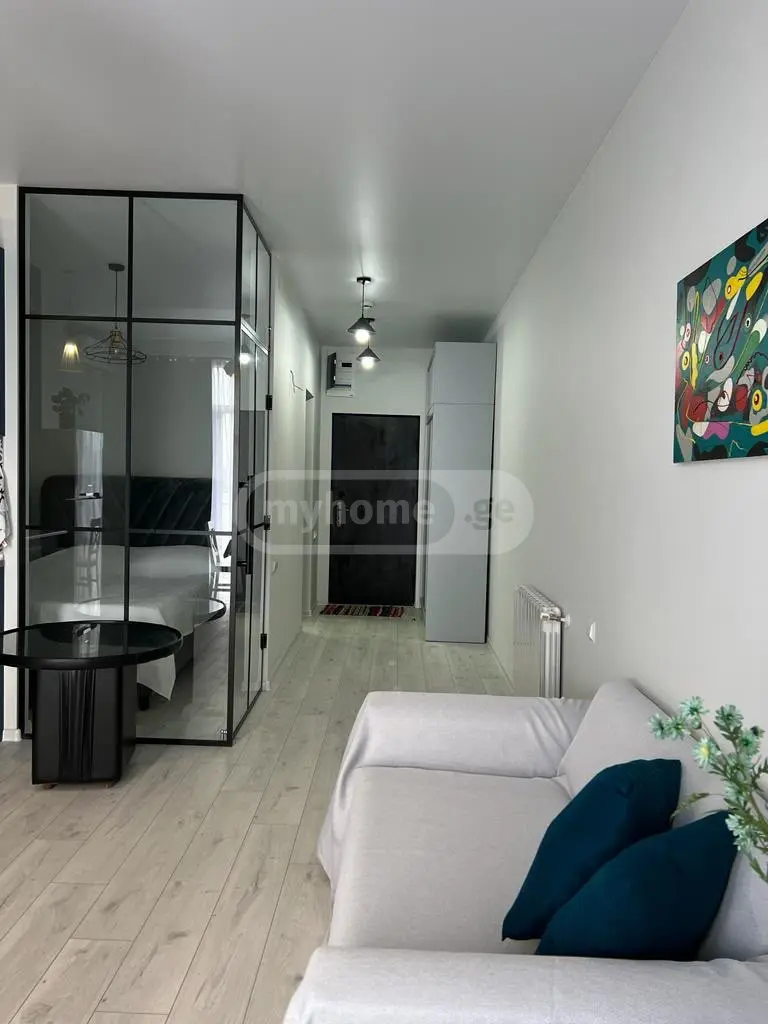 2 Room Apartment For Rent In Makhinjauri, In Batumi view 3
