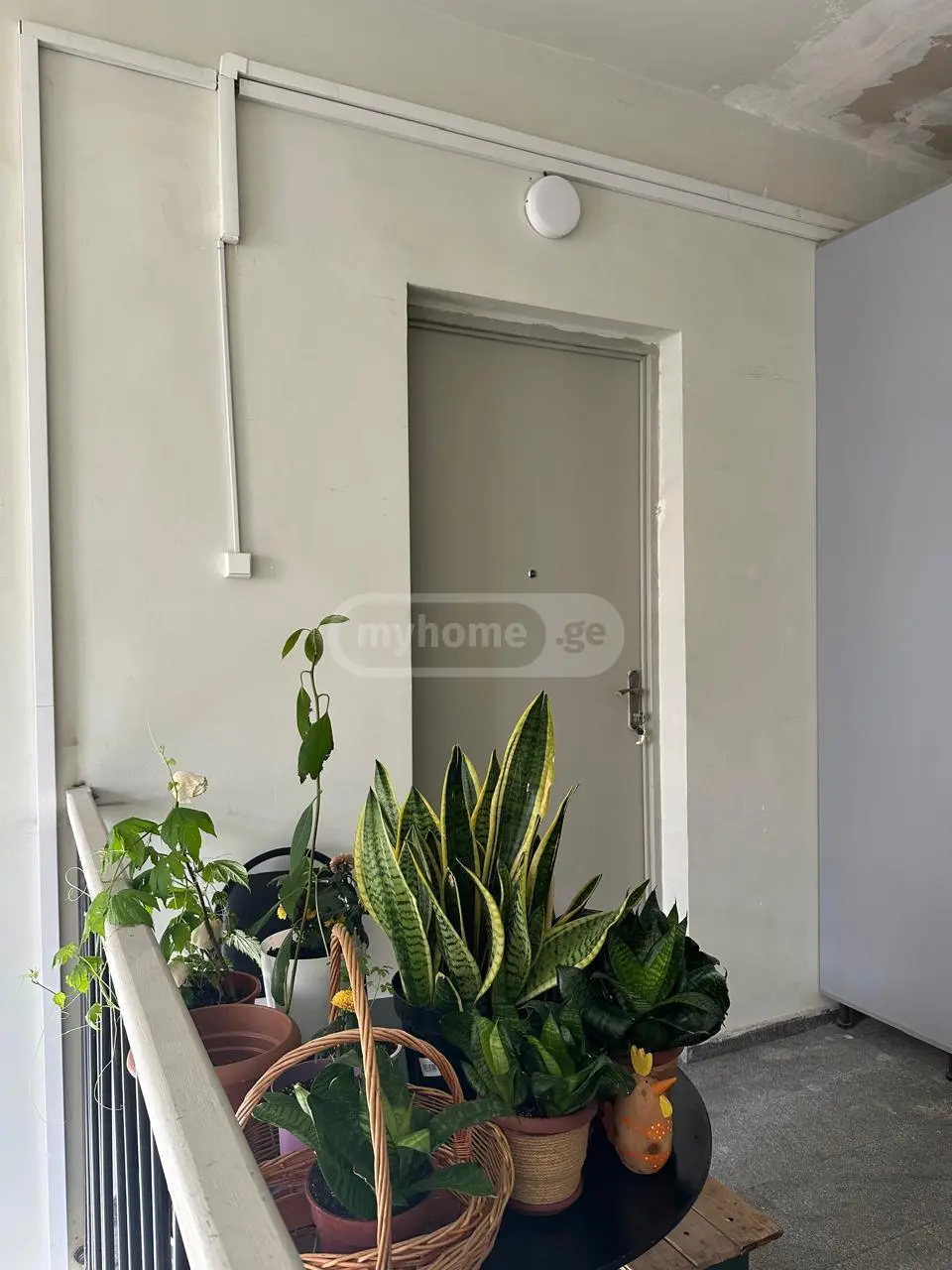 2 Room Apartment For Rent In Mtatsminda view 8