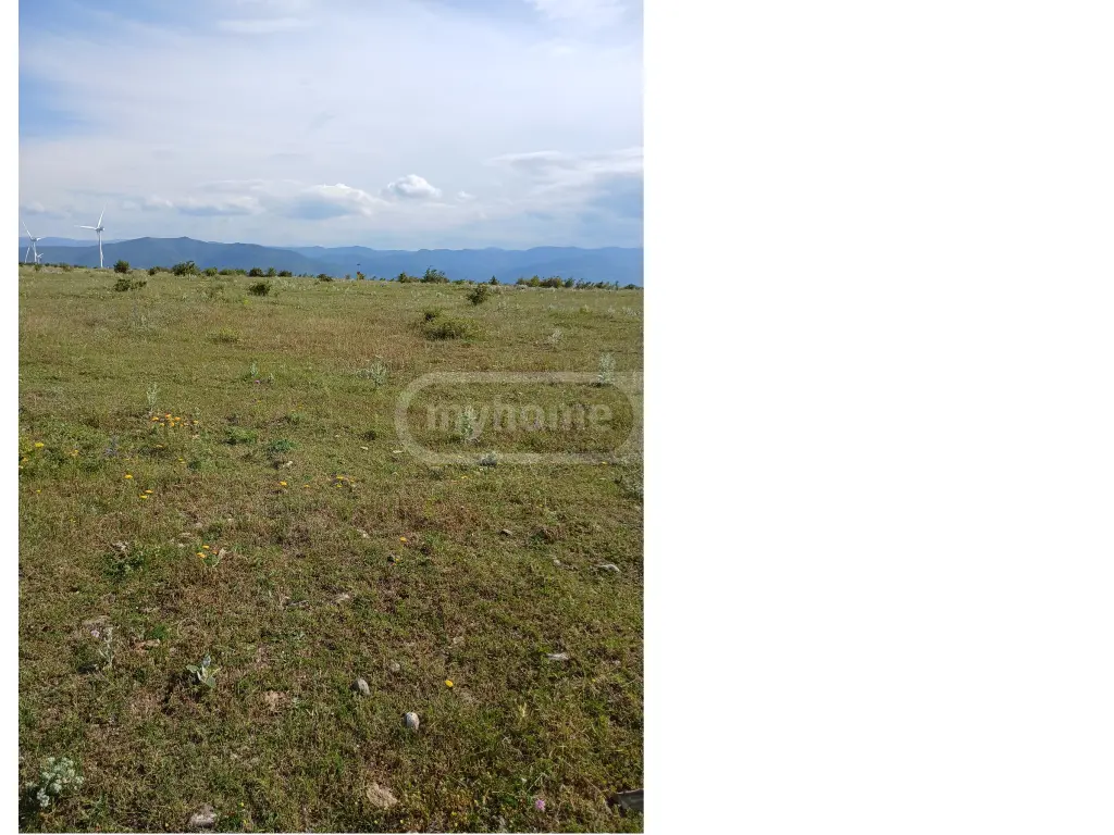 Agricultural Plot For Sale In Gori view 5