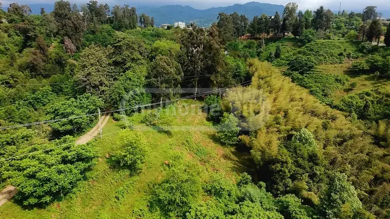 Agricultural Plot For Sale In Tsikhisdziri, In Kobuleti Municipality view 3