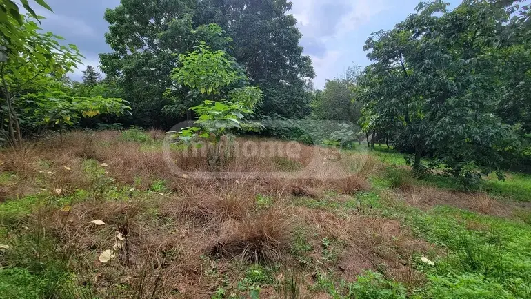 Agricultural Plot For Sale In Ozurgeti view 5