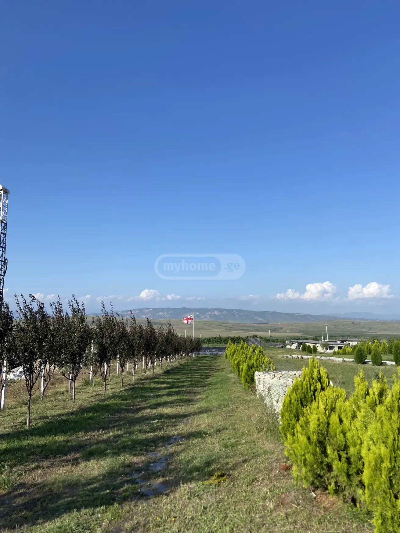 Agricultural Plot For Sale In Kavtiskhevi, In Kaspi Municipality view 14
