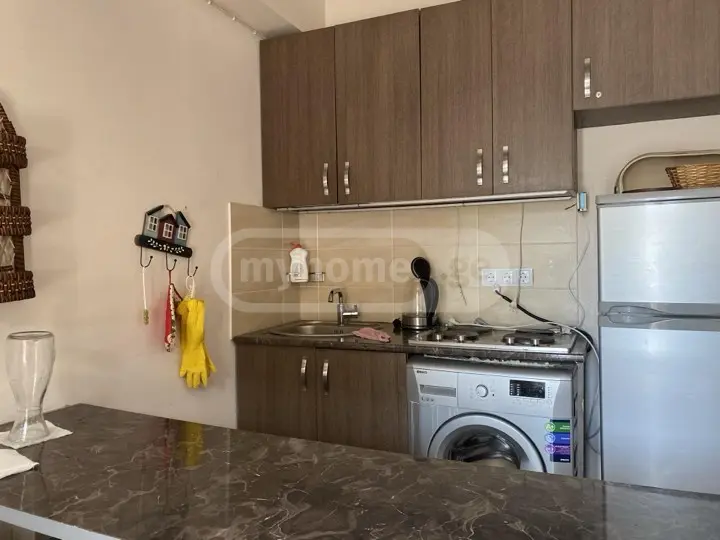 2 Room Hotel For Rent In Bakuriani view 4
