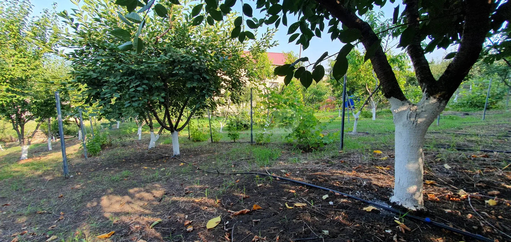 7 Room Country House For Sale view 15