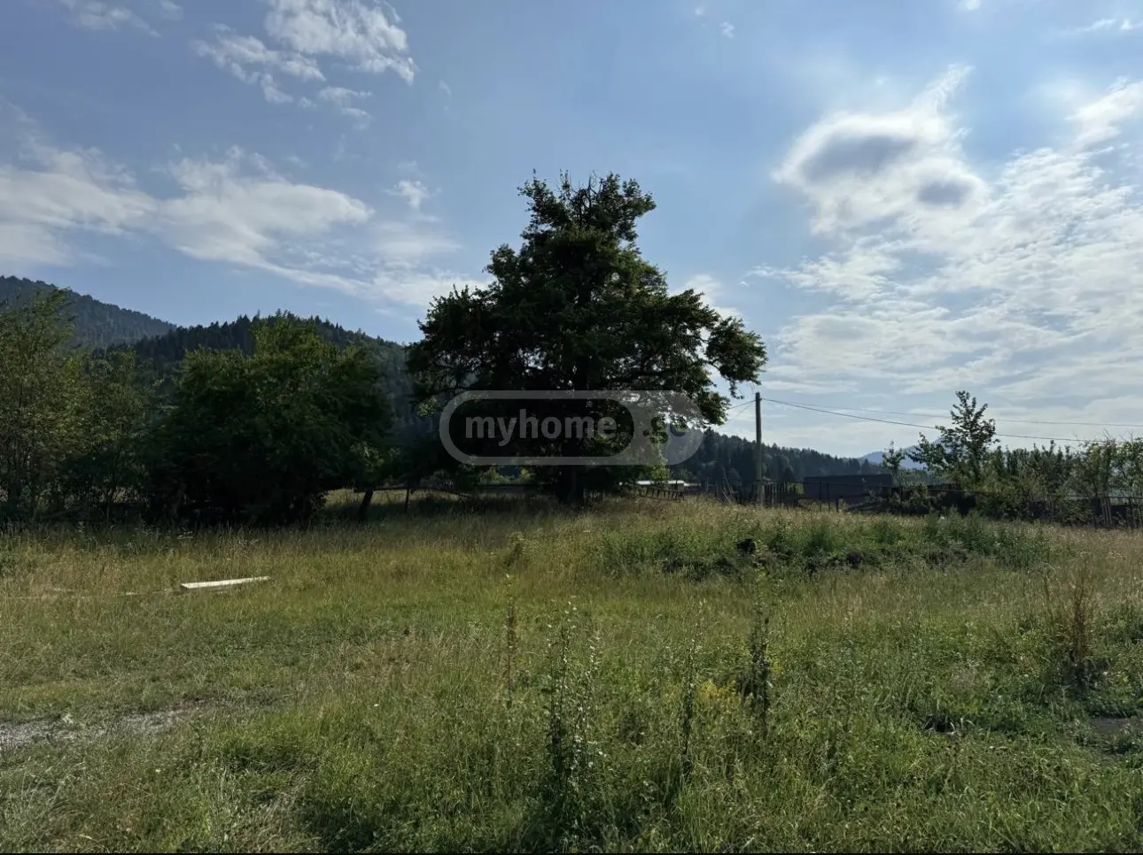 Agricultural Plot For Sale In Mzetamze, In Borjomi Municipality view 4