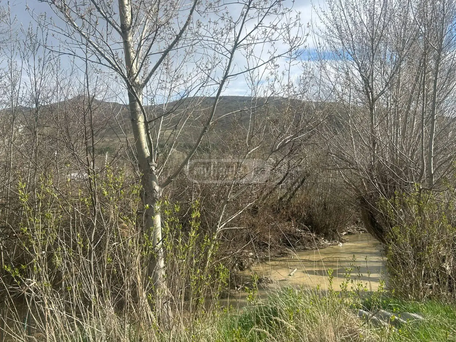 Non-Agricultural Plot For Sale In Gori view 5