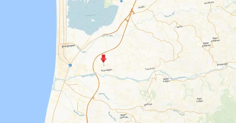 Agricultural Plot For Sale In Kobuleti view 6