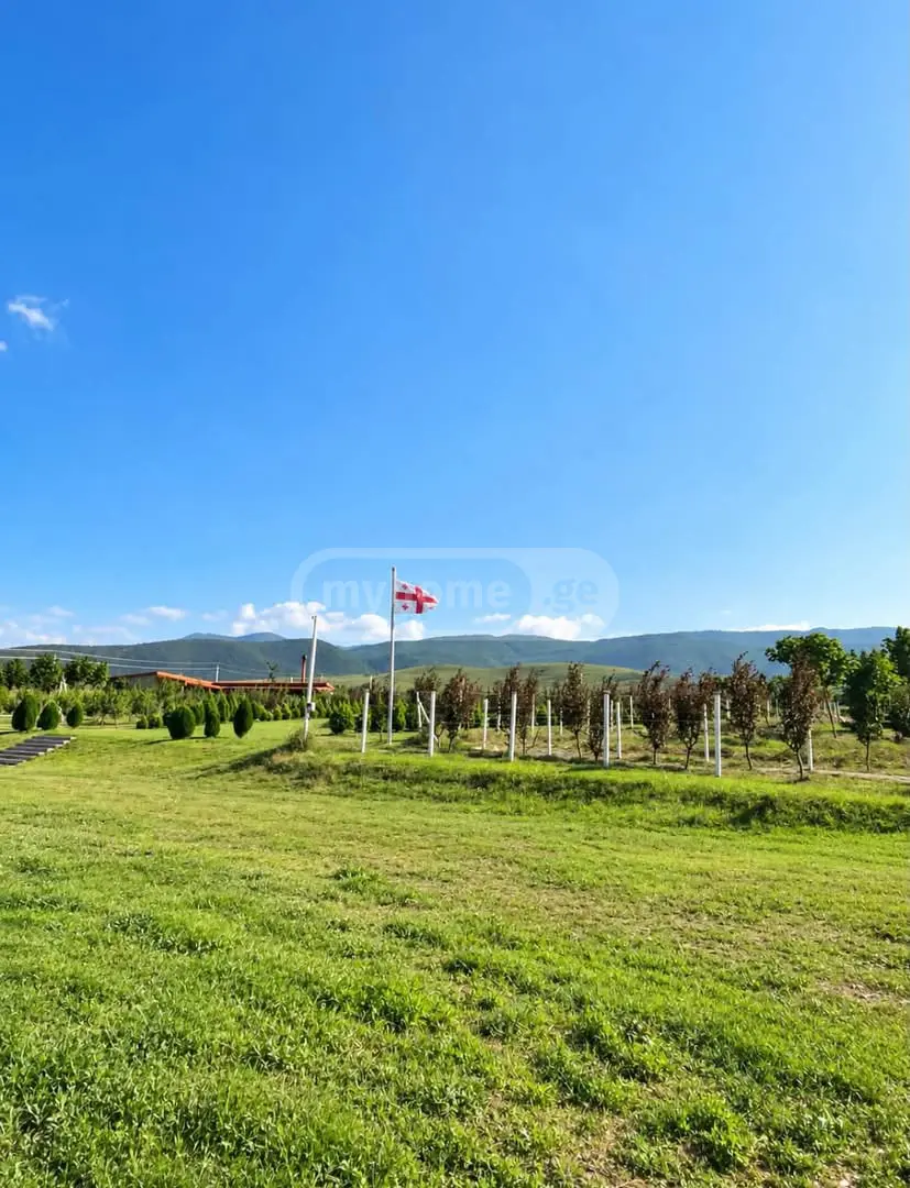Agricultural Plot For Sale In Kavtiskhevi, In Kaspi Municipality view 7