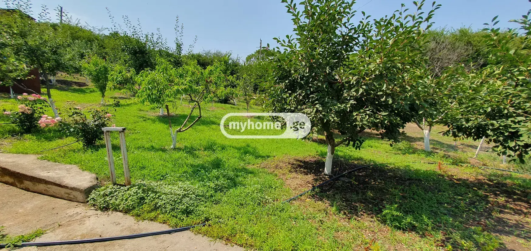 7 Room Country House For Sale view 12
