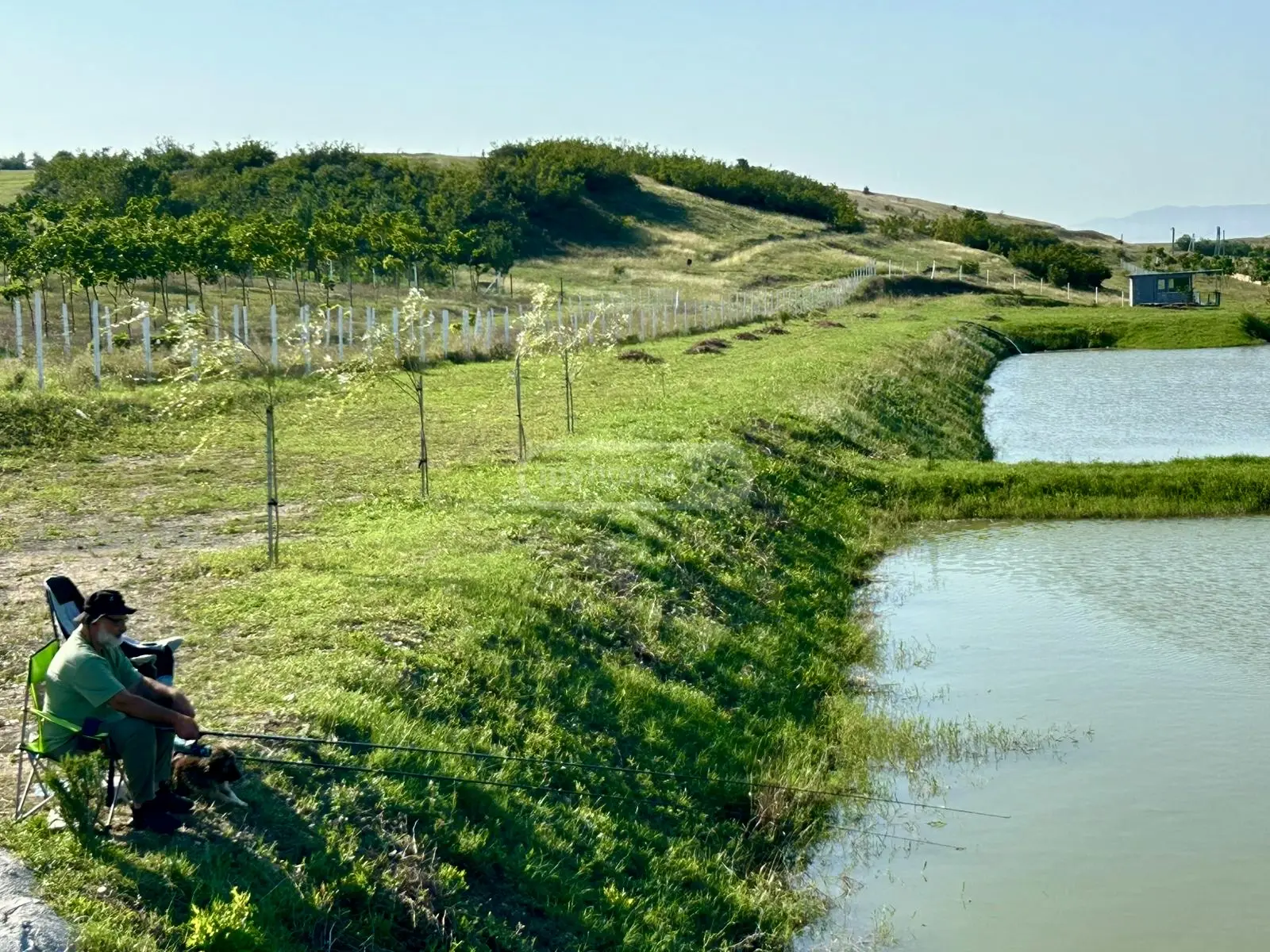 Agricultural Plot For Sale In Kavtiskhevi, In Kaspi Municipality view 13