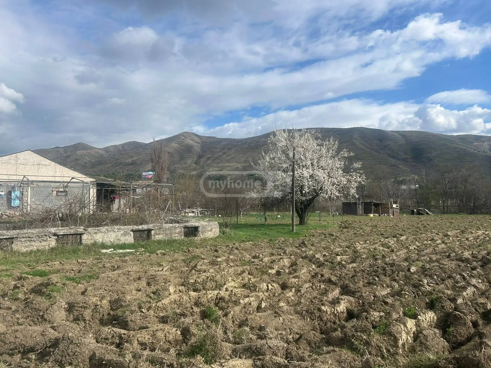 Non-Agricultural Plot For Sale In Gori view 4