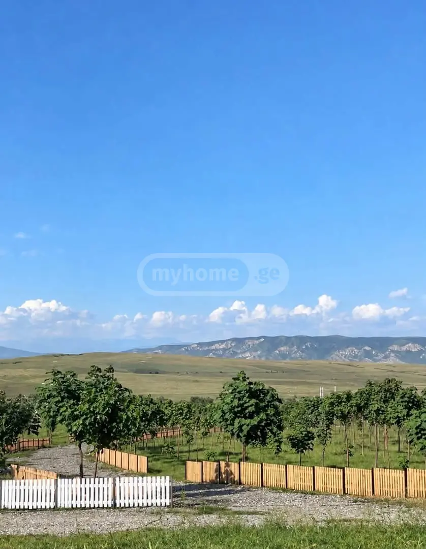 Agricultural Plot For Sale In Kavtiskhevi, In Kaspi Municipality view 8