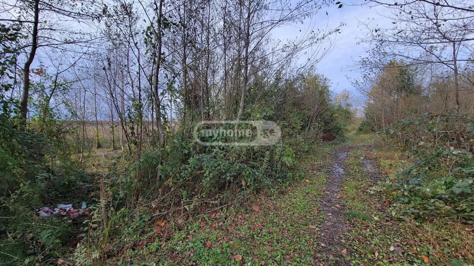 Agricultural Plot For Sale In Ozurgeti view 6