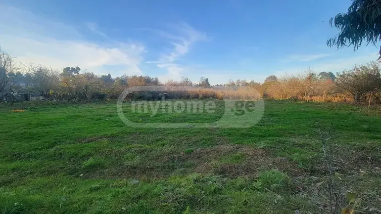 Agricultural Plot For Sale In Kobuleti view 2