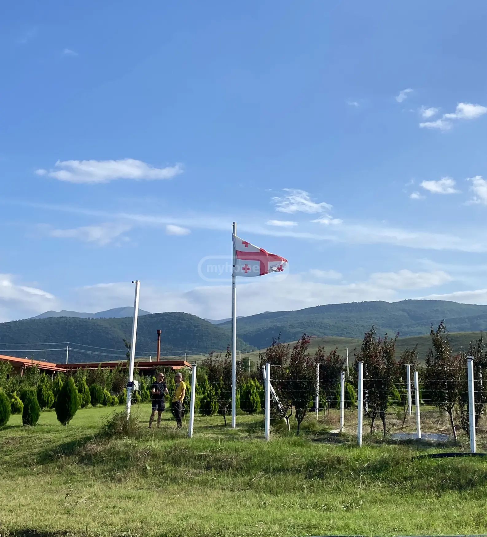 Agricultural Plot For Sale In Kavtiskhevi, In Kaspi Municipality view 1