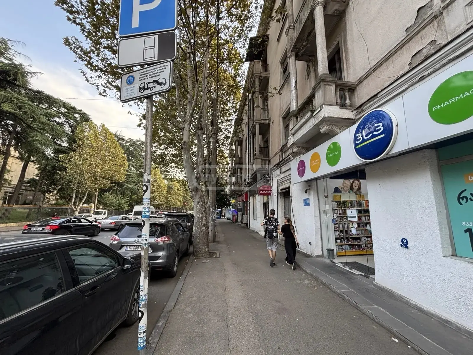 Universal Commercial Area For Sale In Nadzaladevi view 12