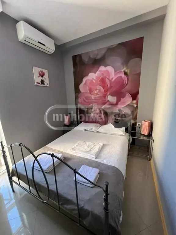 10+ Room Hotel For Rent In Nadzaladevi view 6