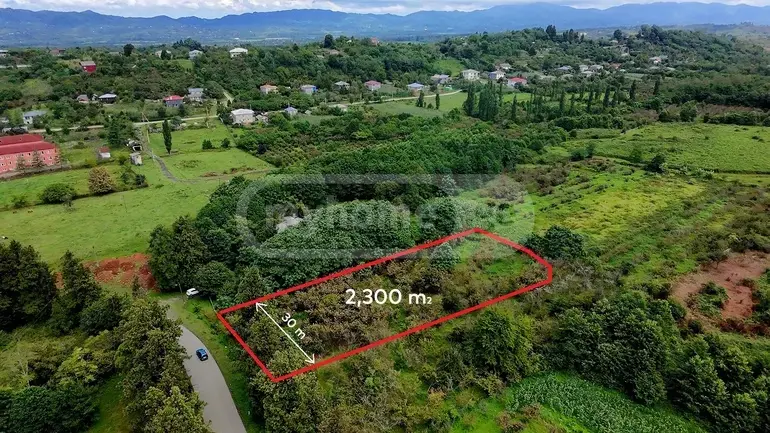 Agricultural Plot For Sale In Ozurgeti view 1