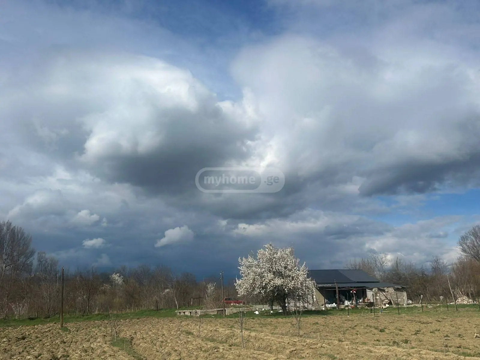 Non-Agricultural Plot For Sale In Gori view 1