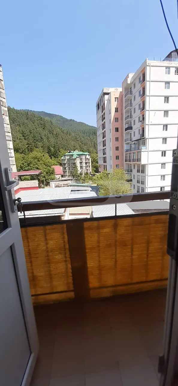 3 Room Apartment For Rent In Borjomi view 9